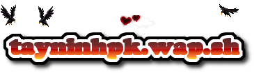 Tayninhpk.wap.sh 144 2